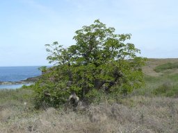 285469_10150265621219901_1558320_n